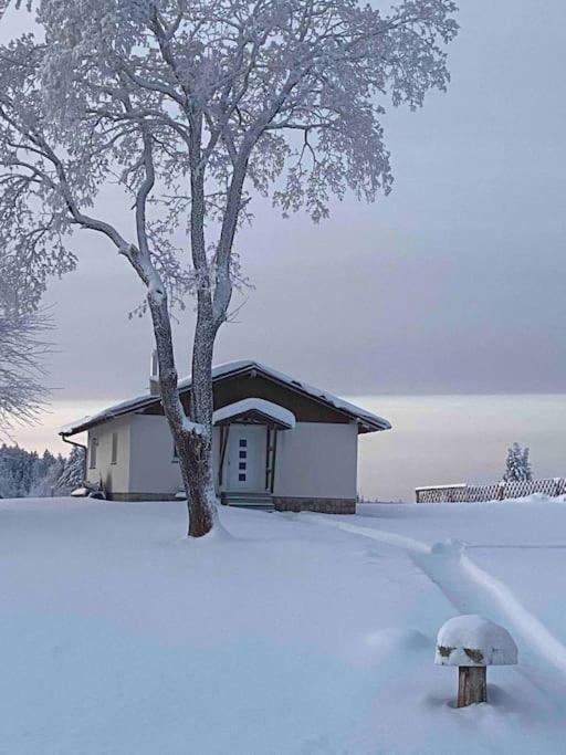Ferienhaus In Schoenheide Im Schoenen Erzgebirge Екстер'єр фото