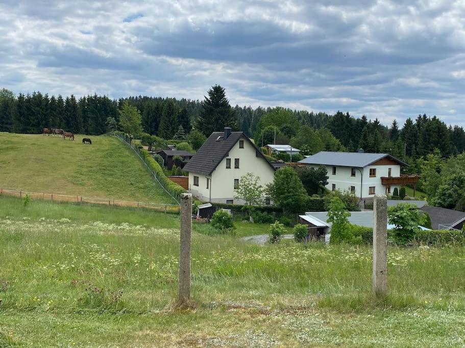 Ferienhaus In Schoenheide Im Schoenen Erzgebirge Екстер'єр фото